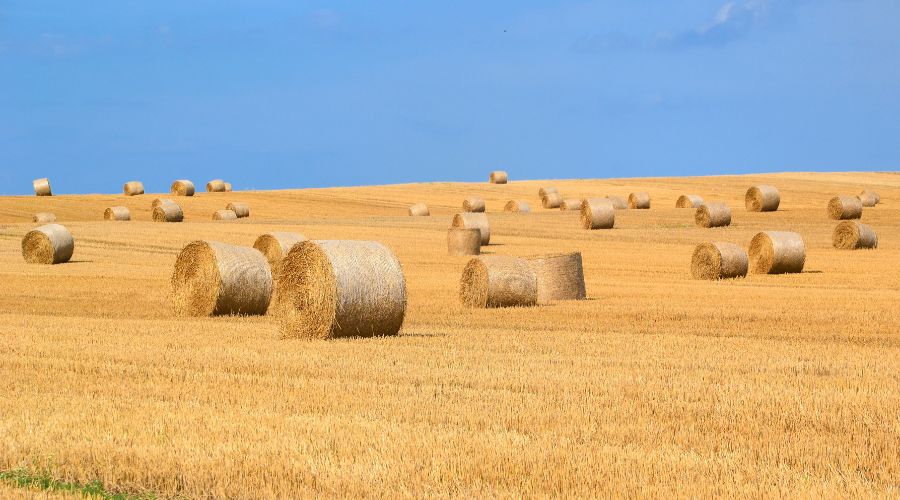Welke wikkelfolie voor silagebalen kiezen?