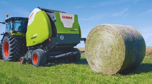 Hooi vs silage: wat is het verschil?