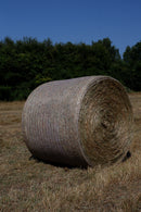 MaxxNet - Pack 8 - Premium